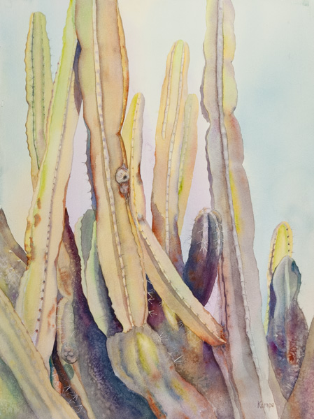 Custom House Cactus