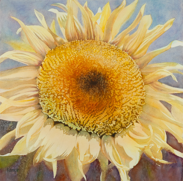 Sunflower Squared