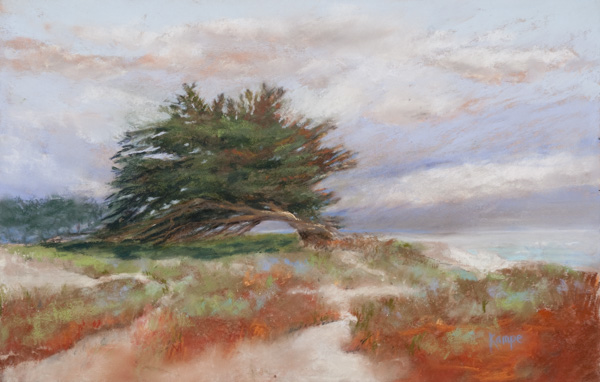 Cypress and Dunes