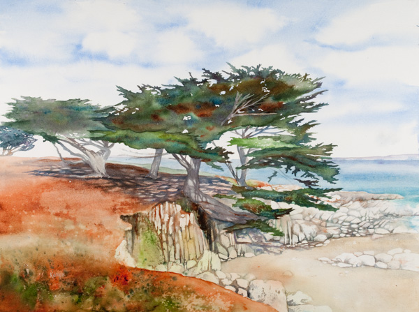 Cypress on a Rocky Cove
