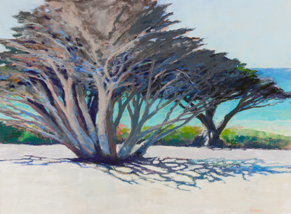 Cypress on Carmel Beach
