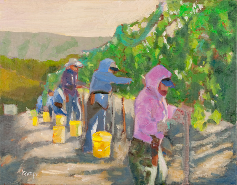 Photo - Grape Harvest - Study