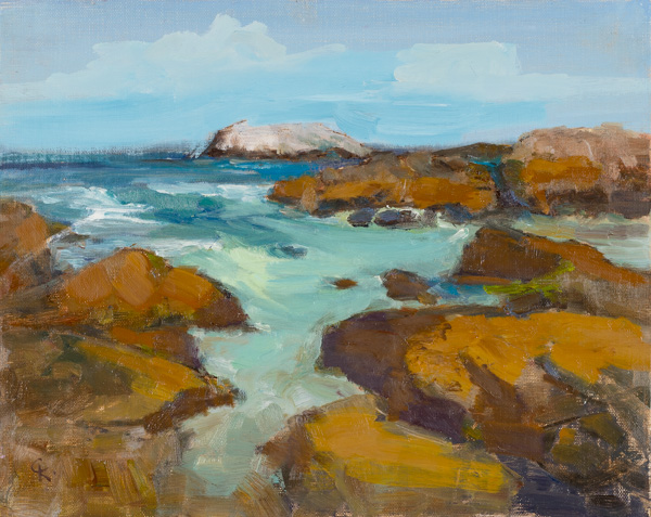 View to Bird Rock