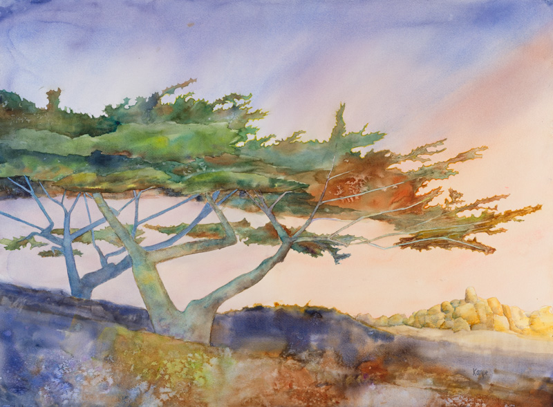 Cypress in Morning Light