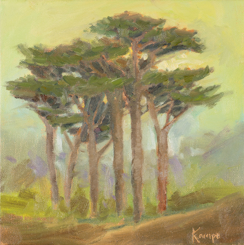 Coastal Cypress 1