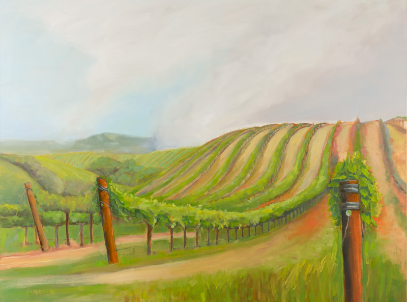 Vineyard Over the Hill