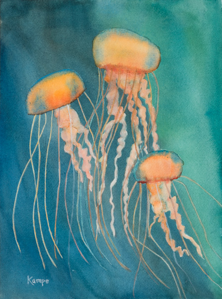 Photo - Jellyfish