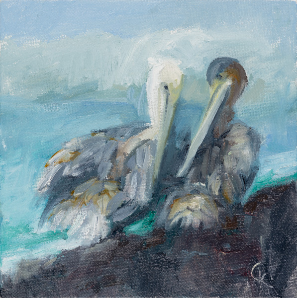 Pelican Pals