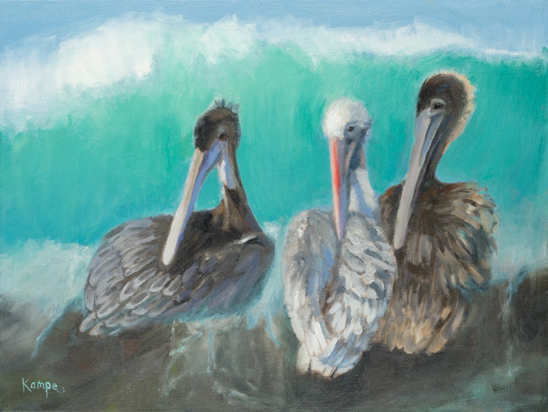 Photo - Three Pelicans